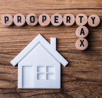 cameron-cad-property-tax-reduction